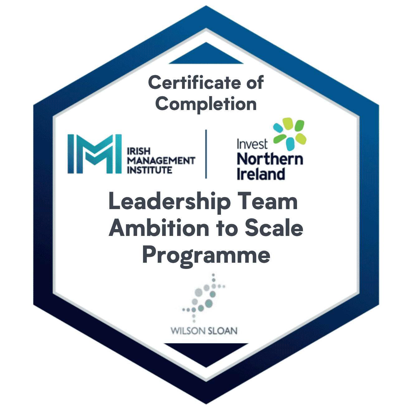 Leadership Team Ambition to Scale Programme.