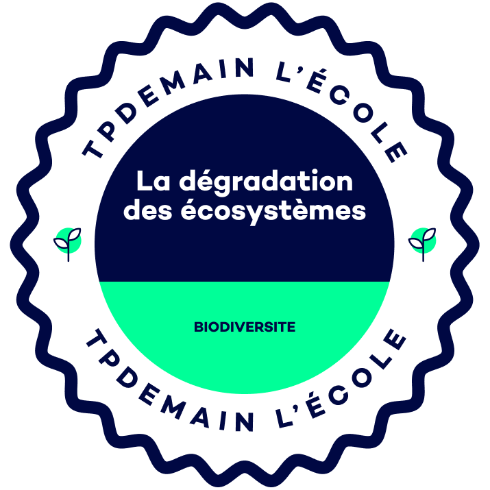 La dégradation des écosystemes
