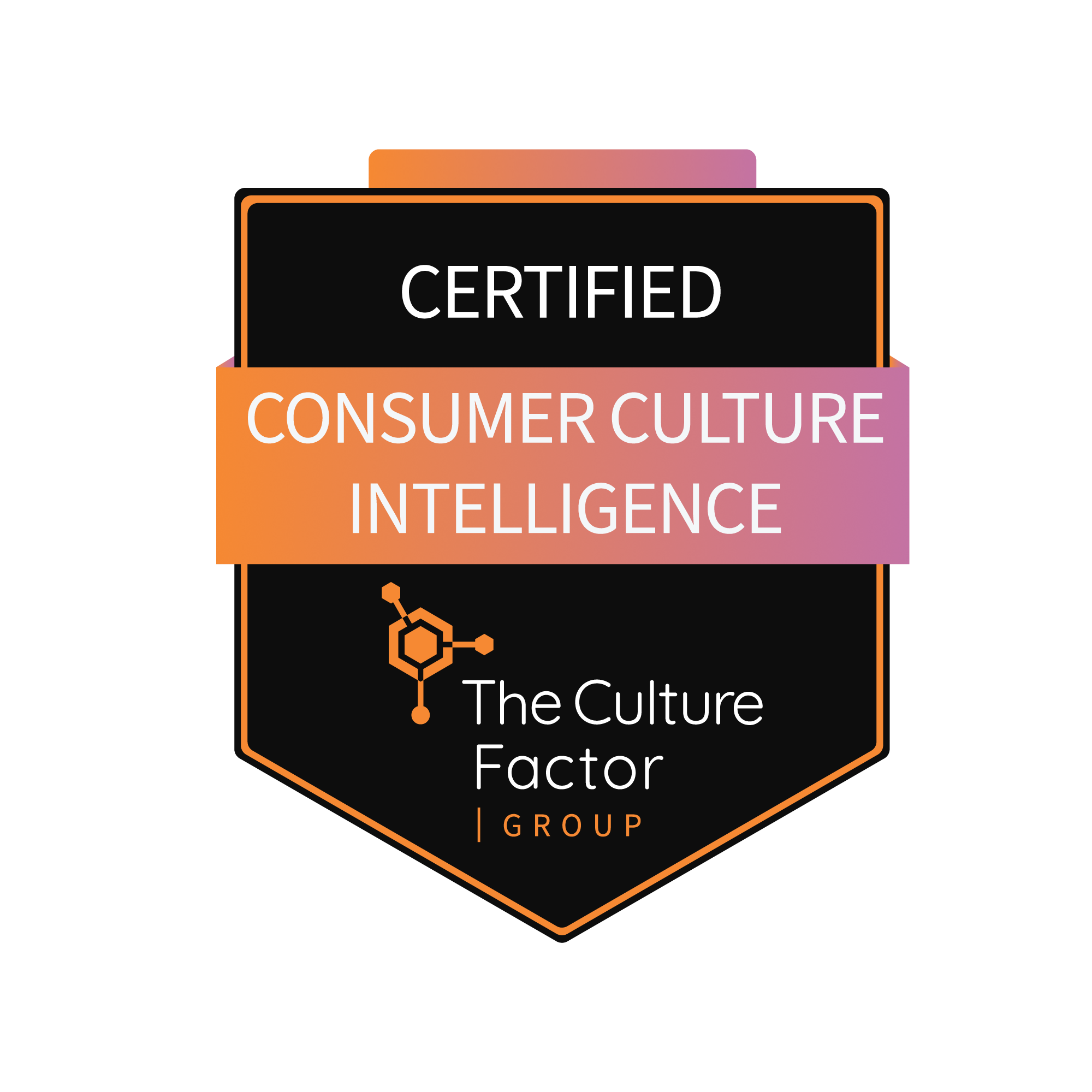 Consumer Culture Intelligence Programme