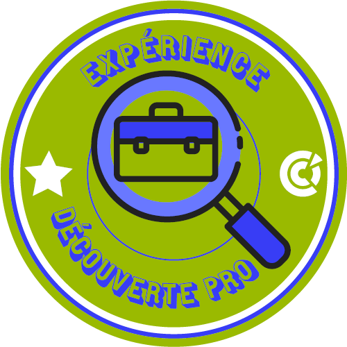 Expérience et Découverte Professionnelle