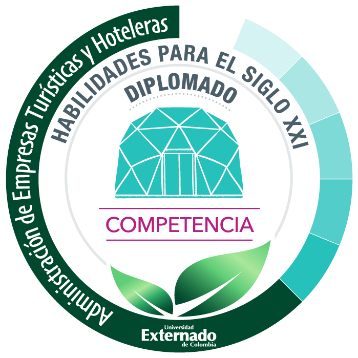 DIPLOMADO HABILIDADES PARA EL SIGLO XXI