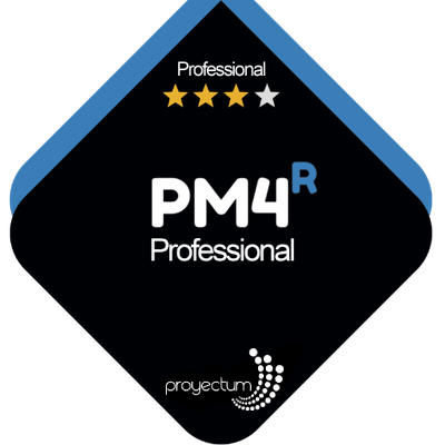 PM4R Professional (Proyectum)