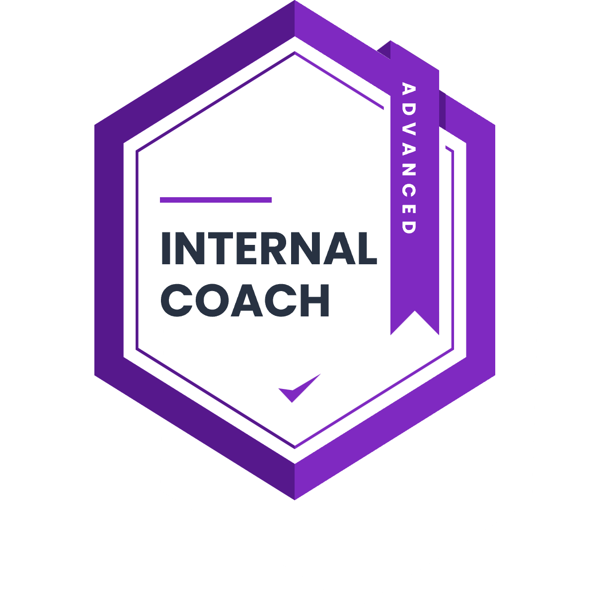 PepsiCo's Network of Coaches - Accredited Coach