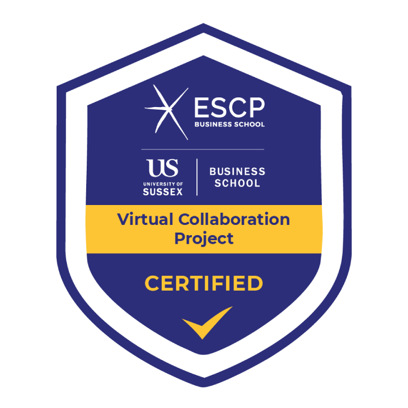 ESCP–Sussex Virtual Collaboration Project 