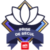 Prise de recul  - Niveau 2