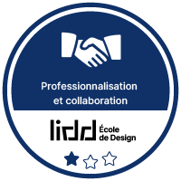 Professionnalisation et collaboration 