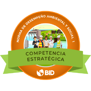 Competencia Estratégica: Norma de Desempeño Ambiental y Social 1 (NDAS 1)