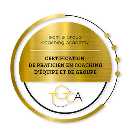 Praticien en coaching d'équipe et de groupe