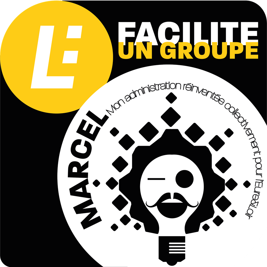 Faciliter un groupe