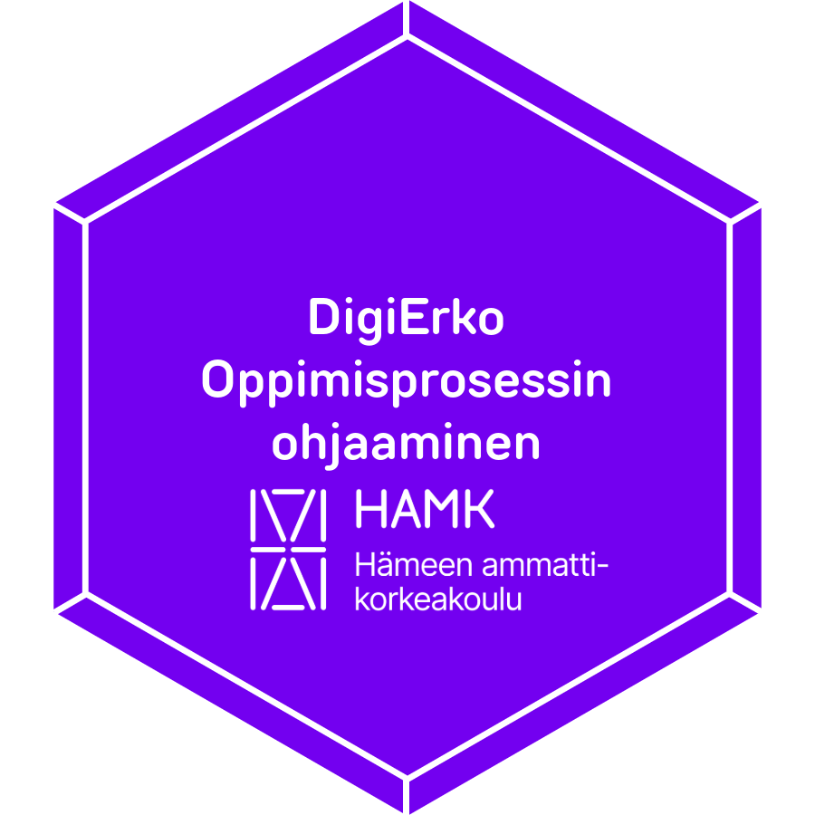 DigiErko Oppimisprosessin ohjaaminen