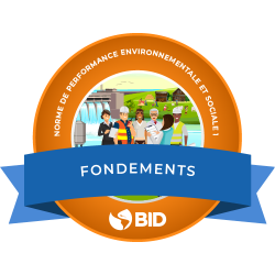 ​​Norma de Desempeño Ambiental y Social 1 (NDAS 1): Evaluación y gestión de los riesgos e impactos ambientales y sociales