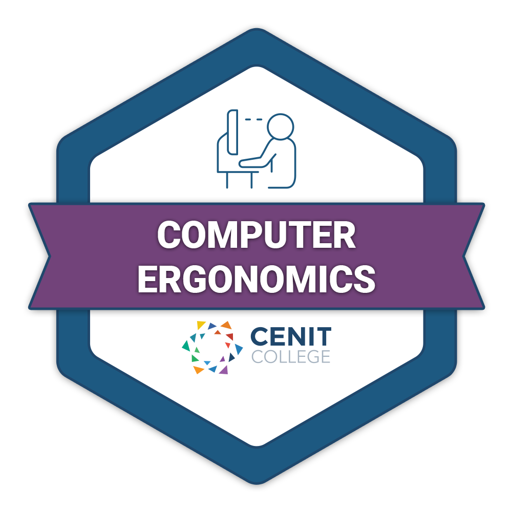 Computer Ergonomics