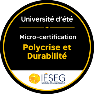 Polycrise et Durabilité - Polycrise et Performance Durable : construire la résilience de son entreprise dans un monde incertain