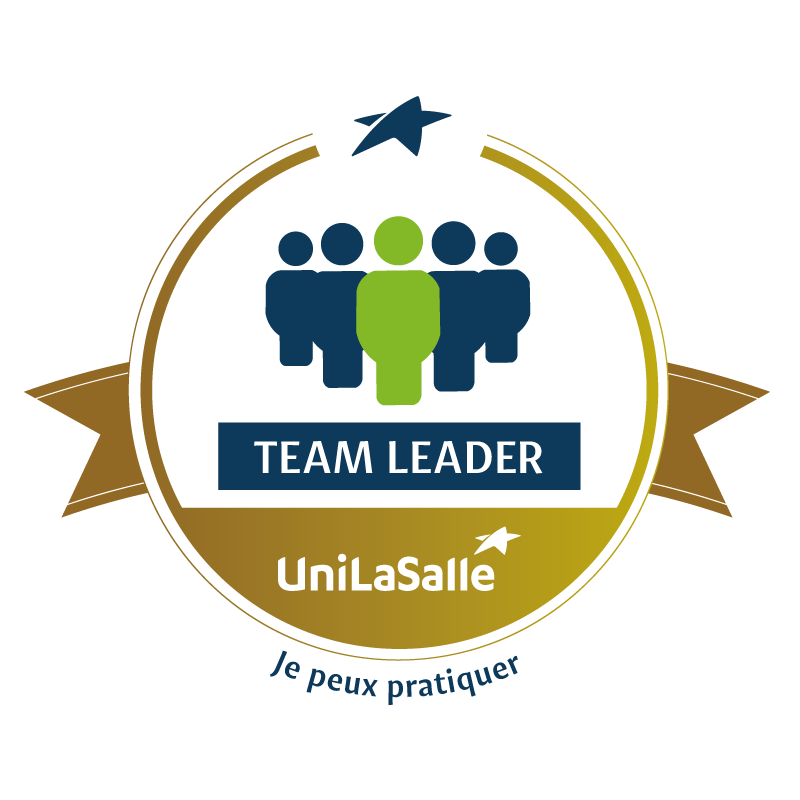 Team Leader - Niveau 3
