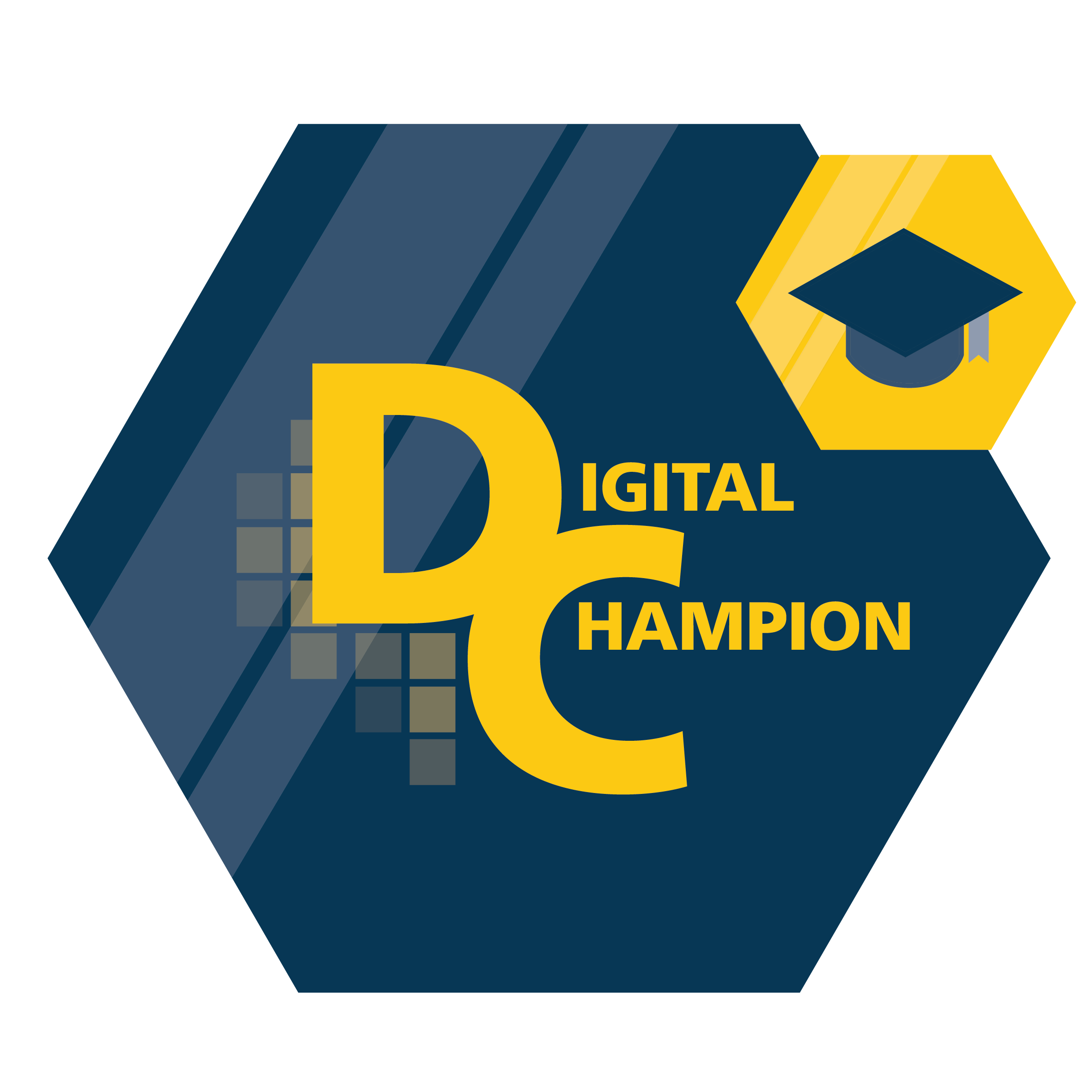 Digital Champion 2025
