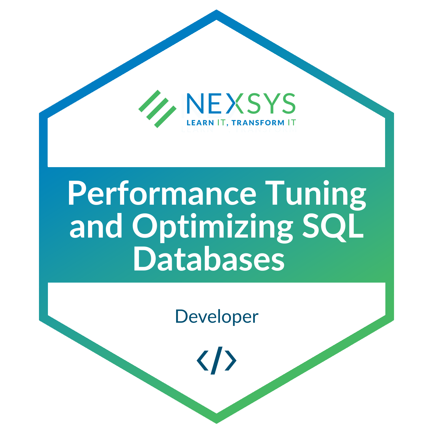 Corso Performance Tuning and Optimizing SQL Databases