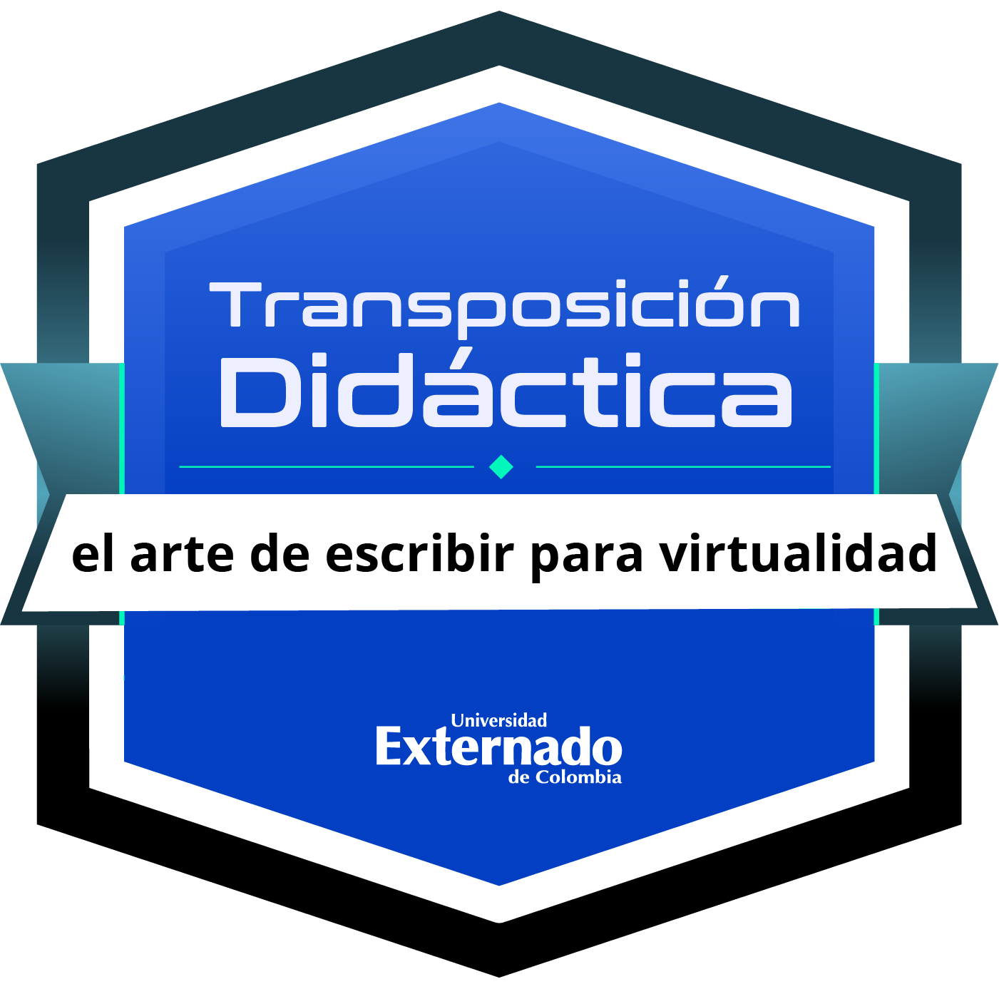 Transposición Didáctica: el arte de escribir para virtualidad