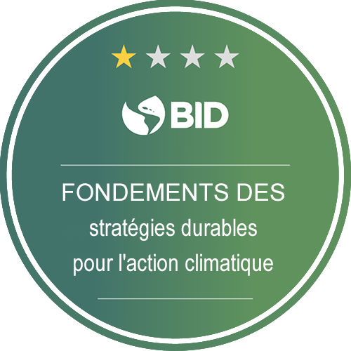Fundamentos en estrategias sostenibles para la acción climática 