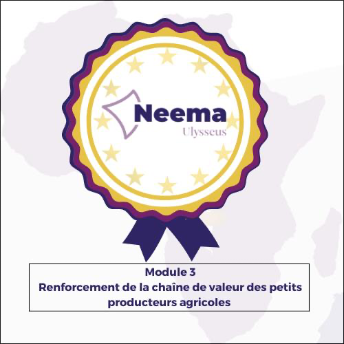 Renforcement de la chaîne de valeur des petits producteurs agricoles