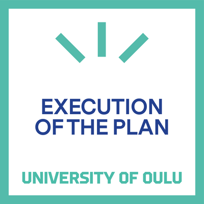Execution of the Plan
