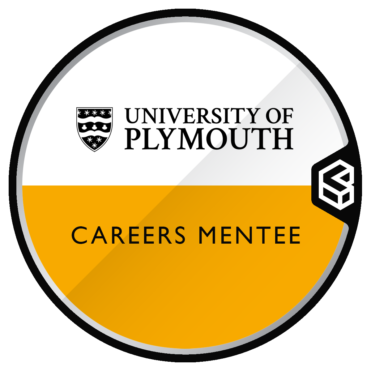 Careers Mentoring Programme - Mentee