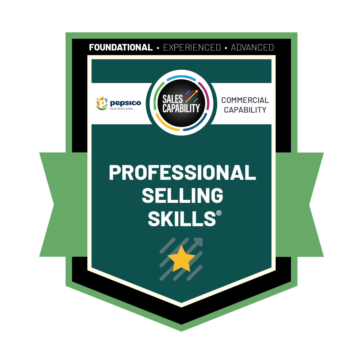 Professional Selling Skills® Foundational