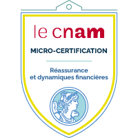Micro-certification Réassurance et dynamiques financières