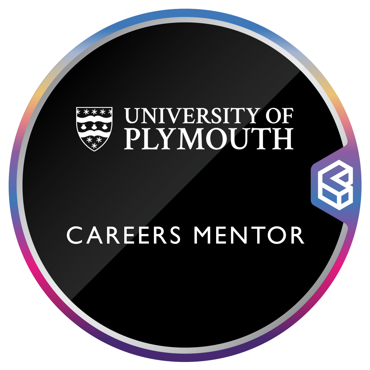 Careers Mentoring Programme - Mentor