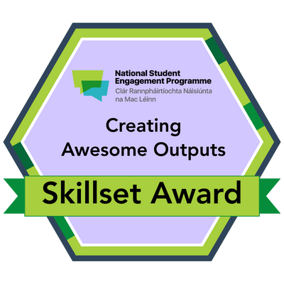 Skills Development Award with Applied Inspiration - Creating Awesome Outputs