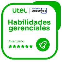 Habilidades Gerenciales - Avanzado VI     