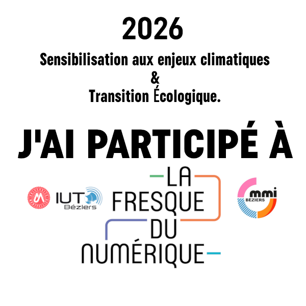 Participation à la Fresque du numérique