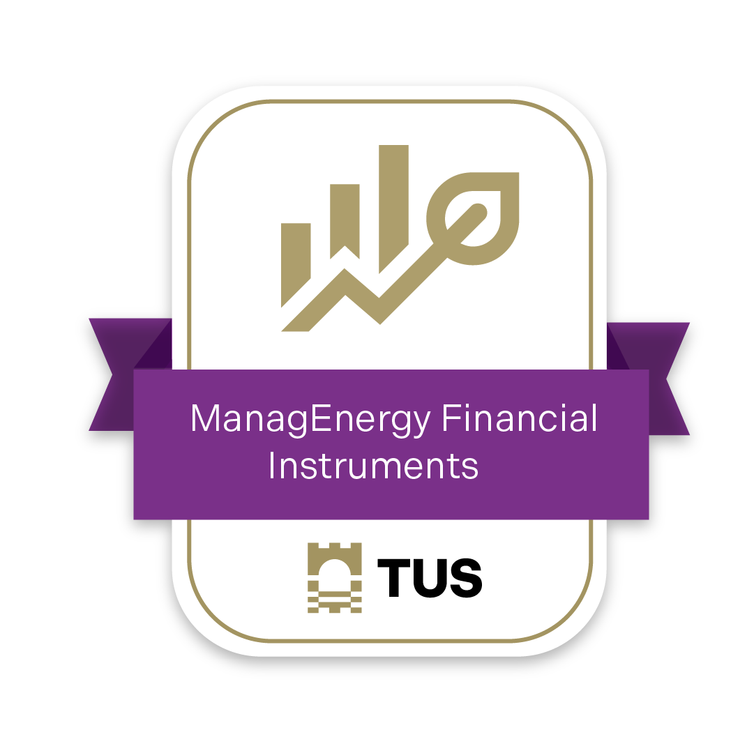 ManagEnergy Financial Instruments