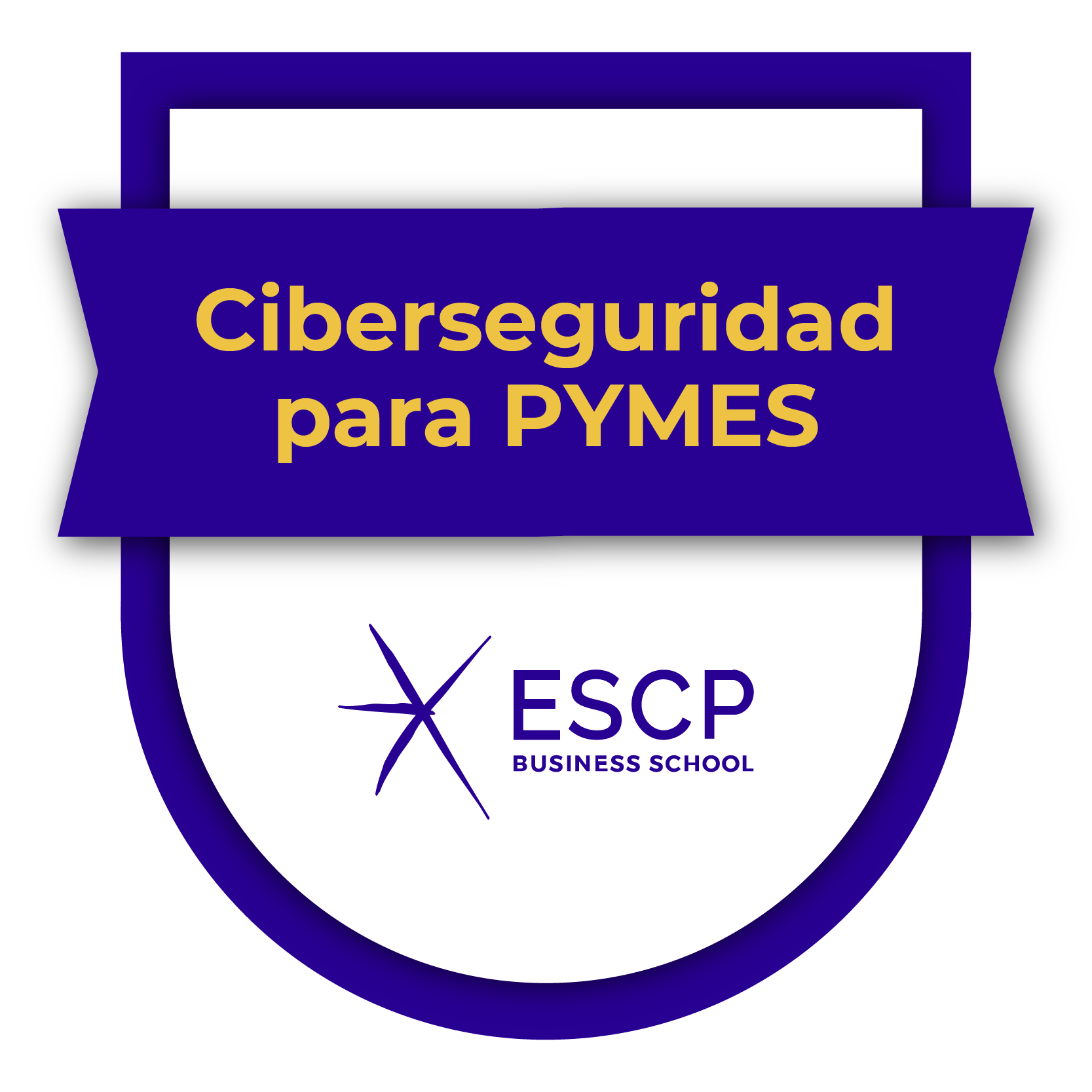 Ciberseguridad para PYMES