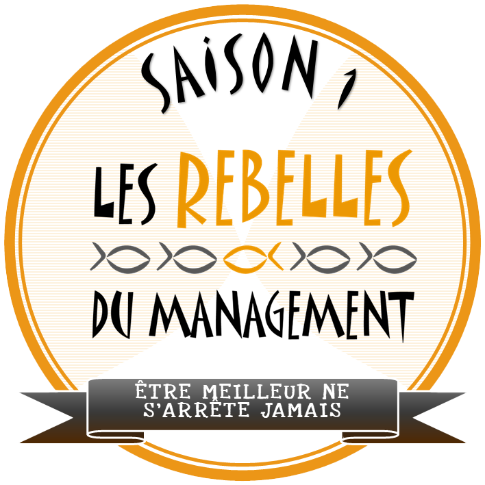 Les rebelles du management - Saison 1