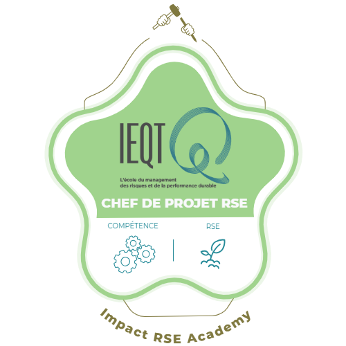 CHEF DE PROJET RSE