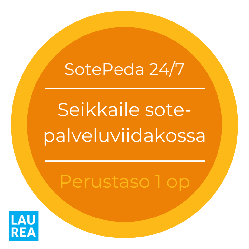 Seikkaile sotepalveluviidakossa 1op