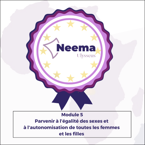 Parvenir à l'égalité des sexes et à l'autonomisation de toutes les femmes et les filles 