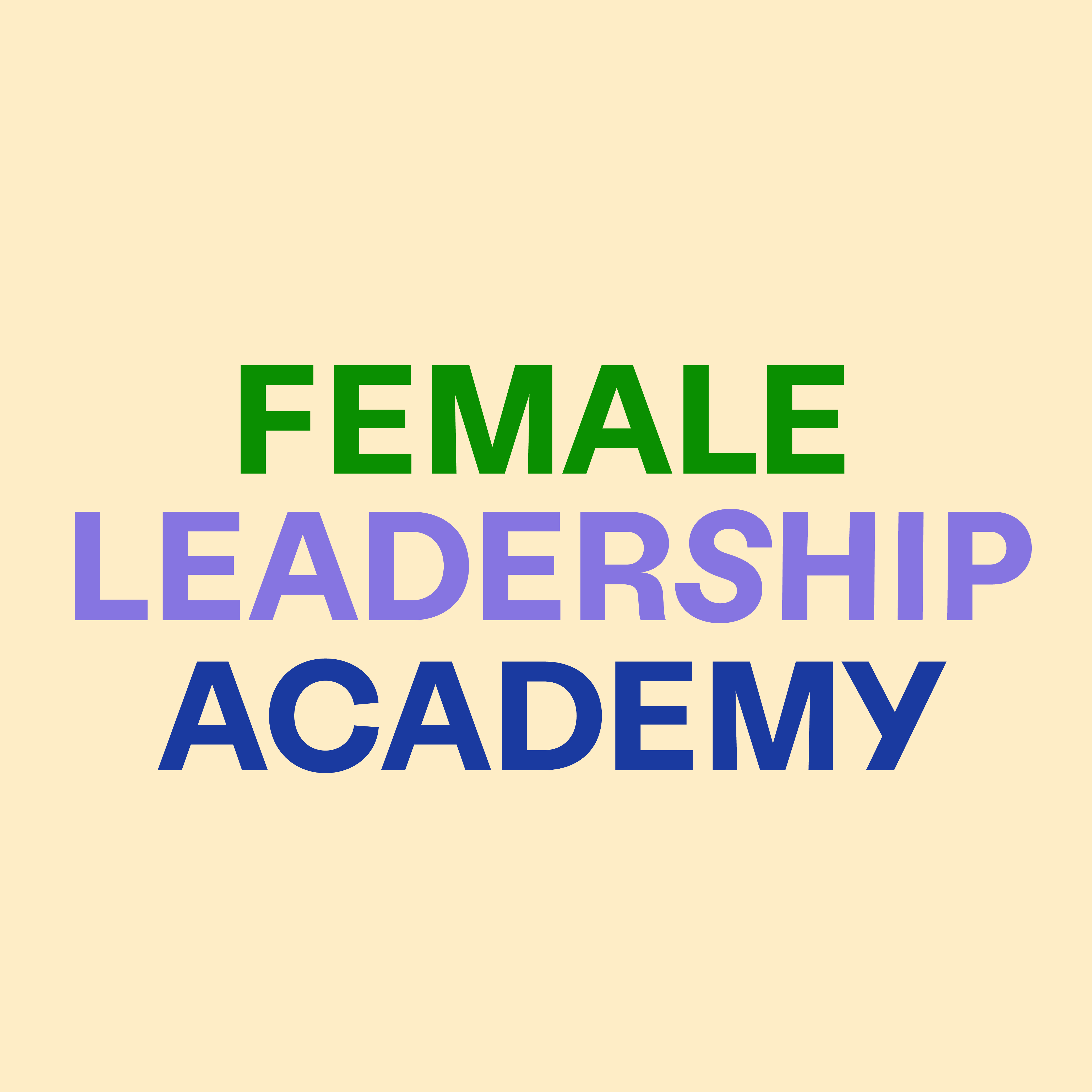 Female Leadership Programm