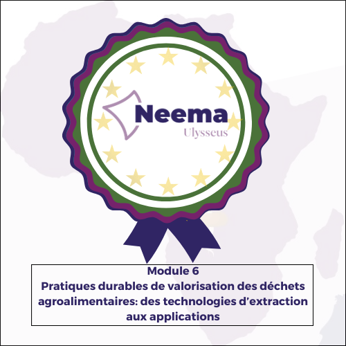 Pratiques durables de valorisation des déchets agroalimentaires: des technologies d'extraction aux applications 