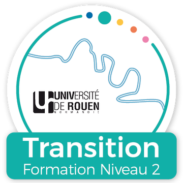Transition - Formation niveau 2
