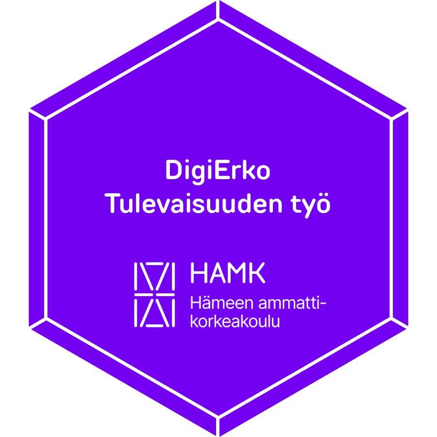 DigiErko Tulevaisuuden työ
