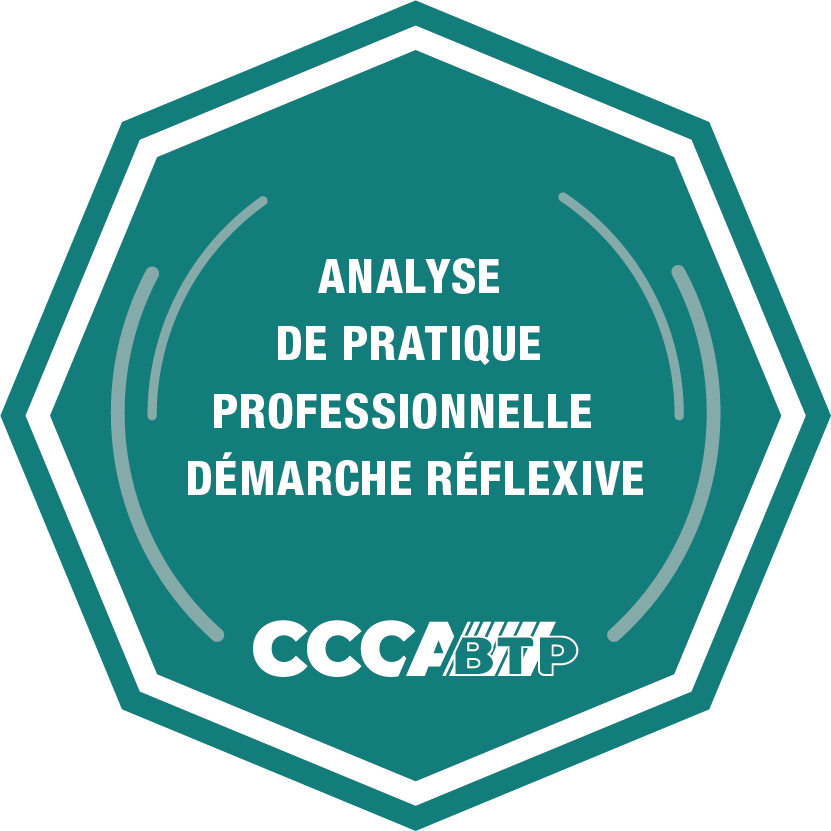 Analyse de pratique professionnelle / Démarche réflexive