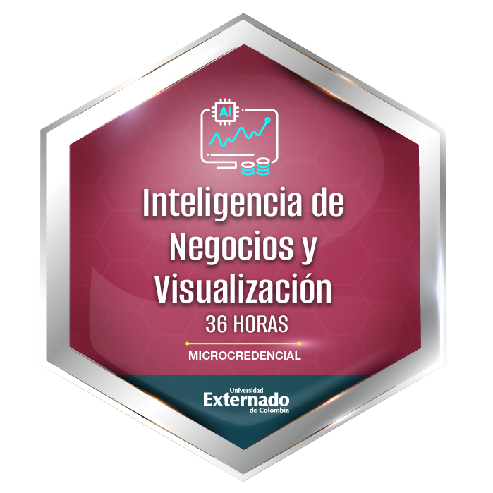 Inteligencia de Negocios y Visualización