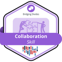 Collaboration Skill