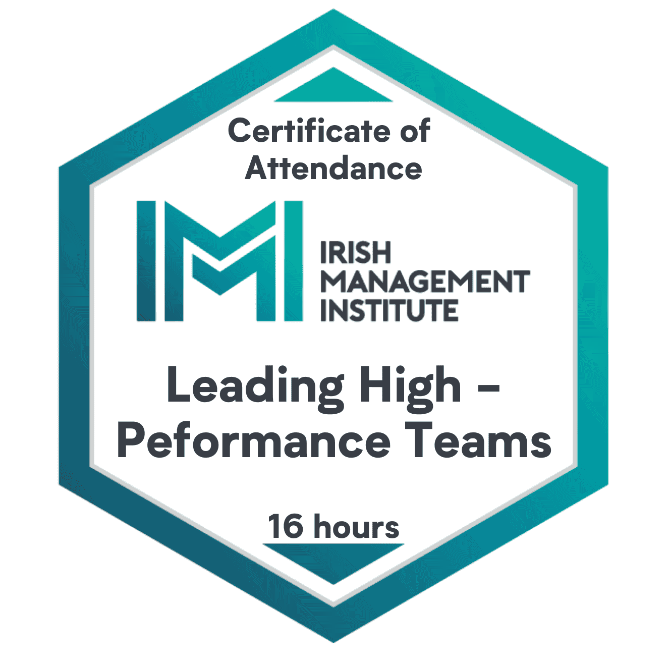 Leading High - Performance Teams