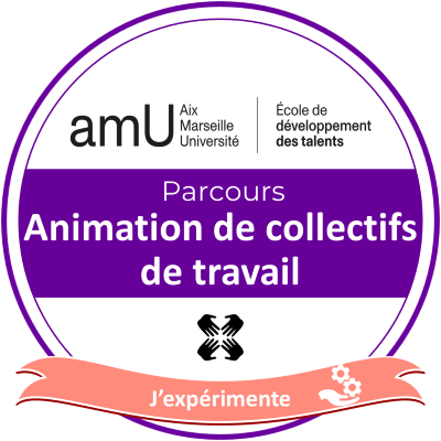 Parcours animation de collectifs de travail : j'expérimente