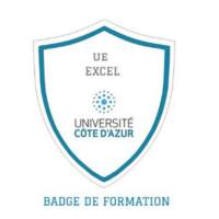 Unité d’Enseignement à Visée Professionnalisante : Excel Basics