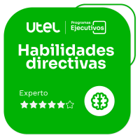 Habilidades Directivas - Experto V    