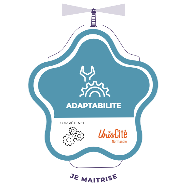 ADAPTABILITE (NIVEAU 2)