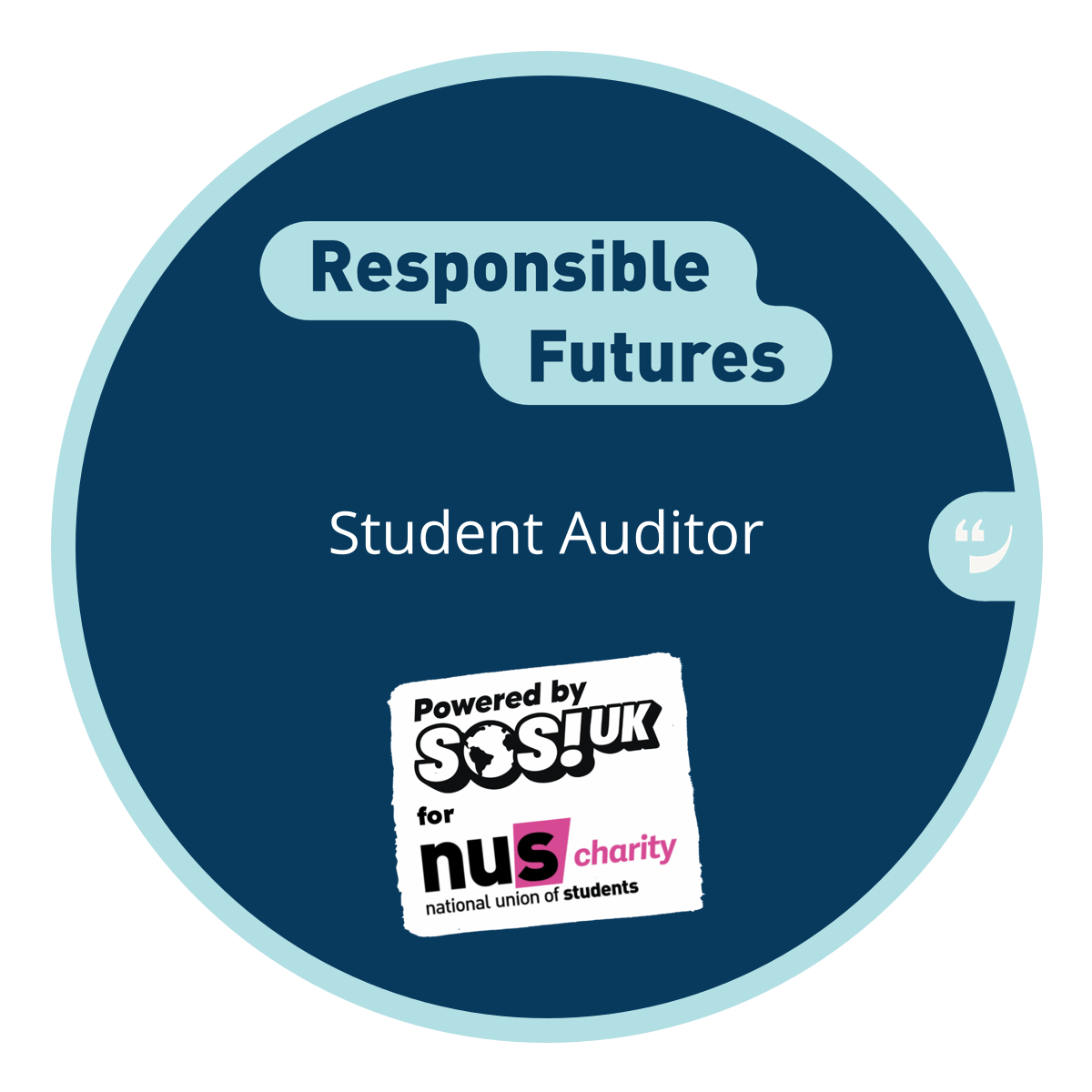Responsible Futures Auditor